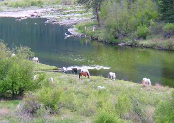 Montana Ranches & Recreation Properties